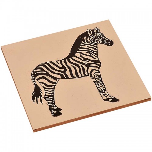 Puzzle: Zebra