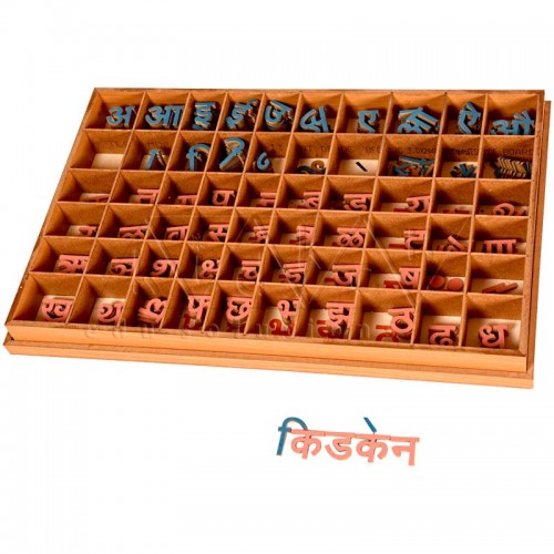 Moveable Alphabet Hindi  - BR