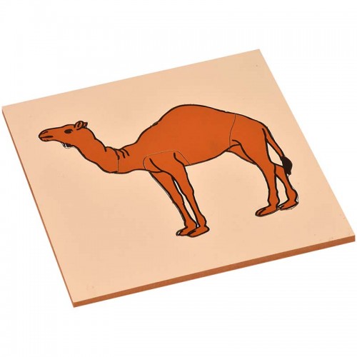 Puzzle: Camel